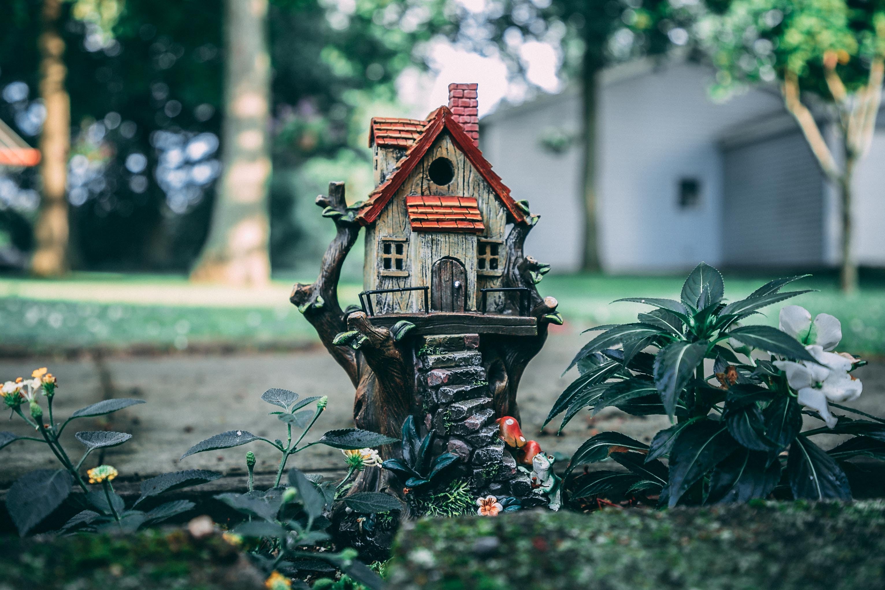 Fairy Gardens