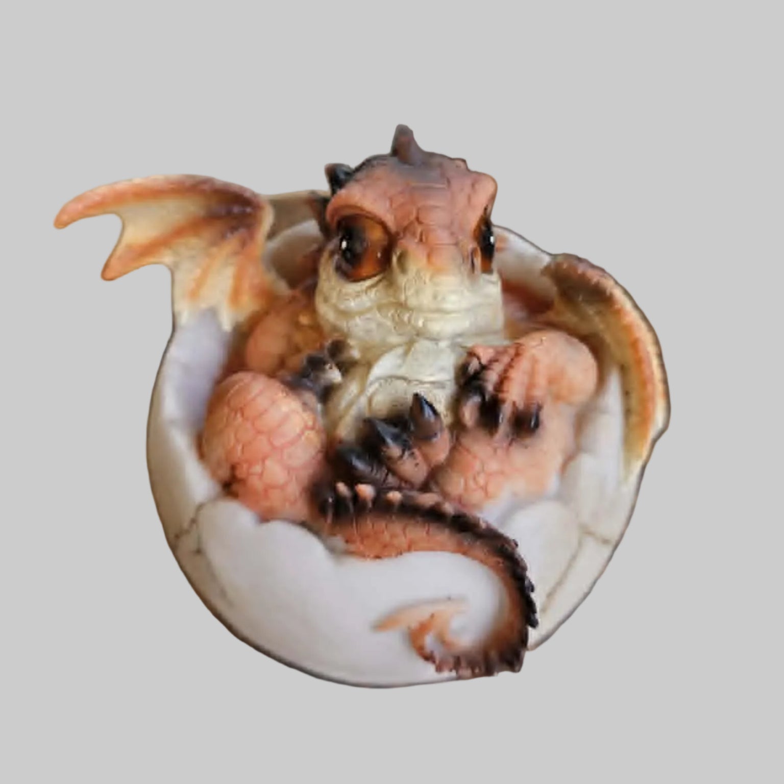 Hatching Dragon Large
