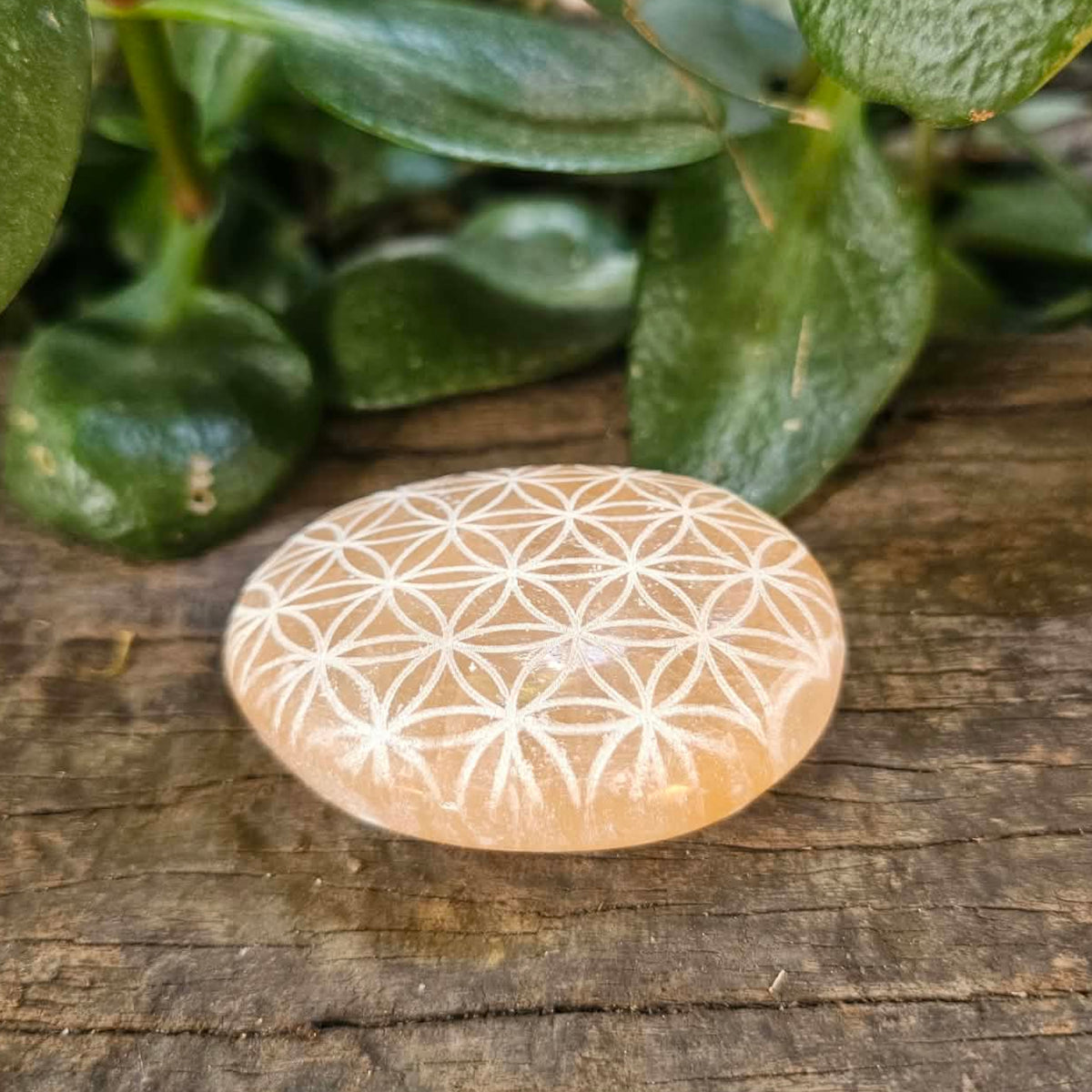 Selenite Peach Palm Stone