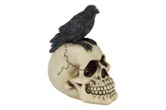 Raven Sitting on Skull 12cm