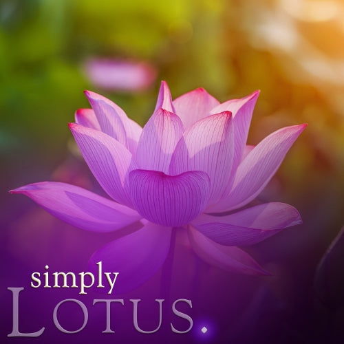 Simply Soy Jar Candle - Lotus