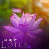 Simply Pillar Candle - Lotus