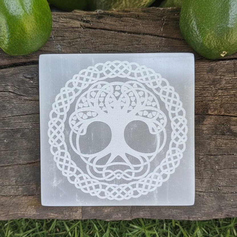 8cm Square Charging Plate - Selenite/Tree of life