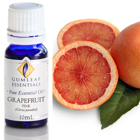Gumleaf Pure Essential Oil - Grapefruit Pink