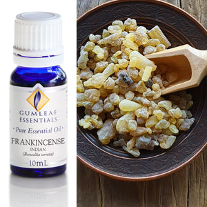 Gumleaf Pure Essential Oil - Frankincense