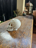 5cm Skull with Pattern