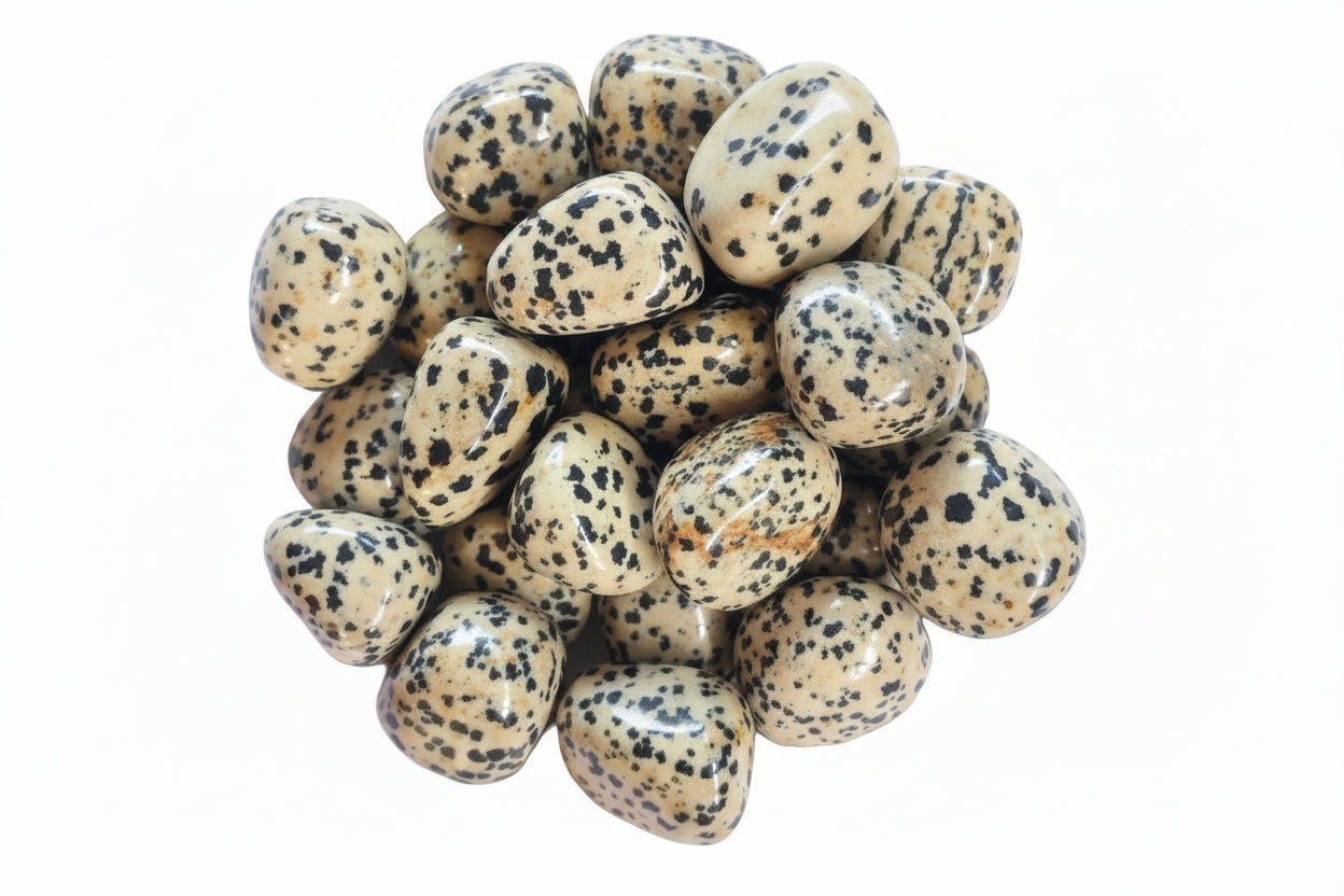 Dalmation Jasper - Tumbled Stone