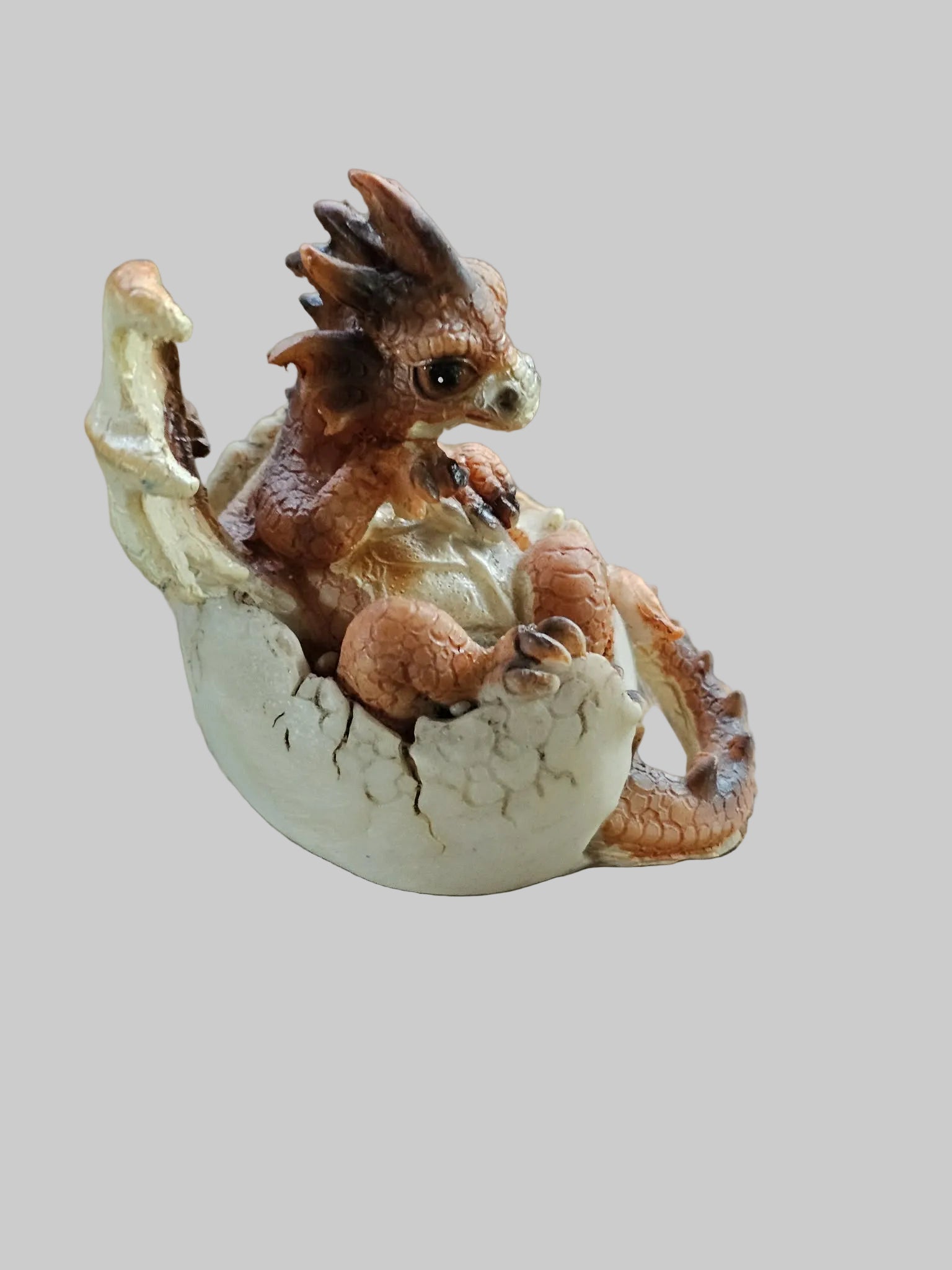 Hatching Dragon Egg - Small A