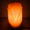 Flower Hamalayan Salt Lamp with Onyx Base