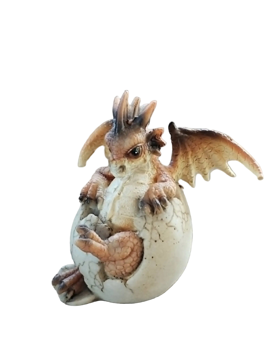 Hatching Dragon Egg - Small B