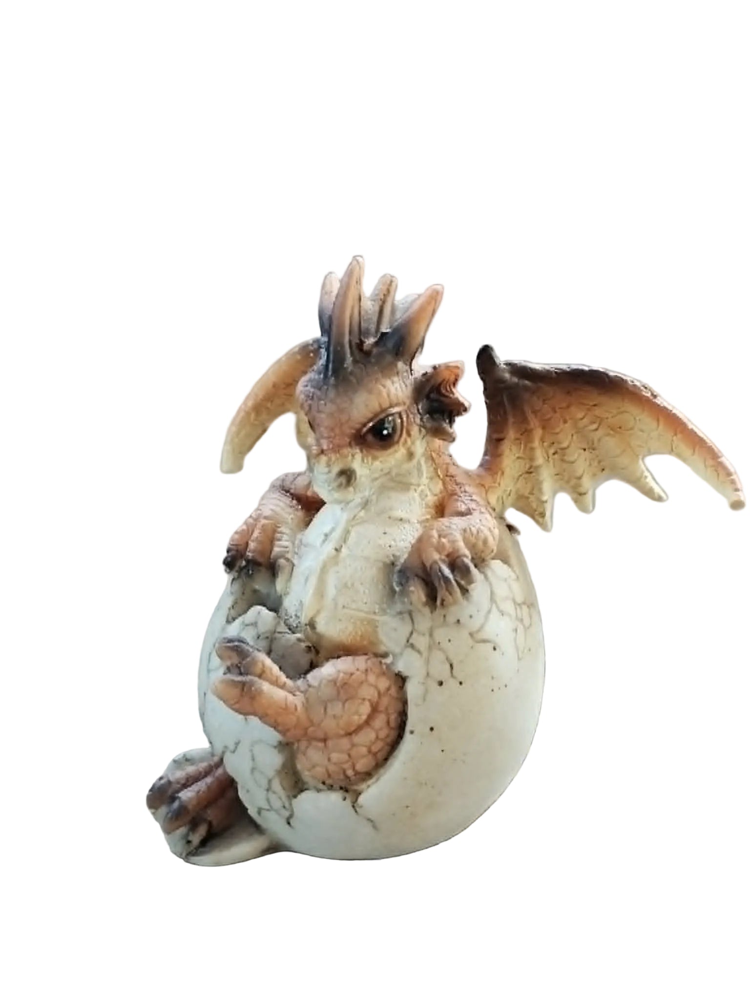 Hatching Dragon Egg - Small B