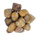 Leopardskin Jasper - Tumbled Stone