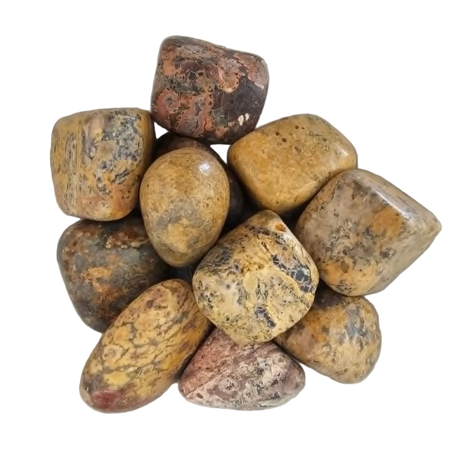 Leopardskin Jasper - Tumbled Stone