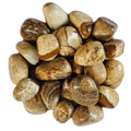 Picture Jasper - Tumbled Stone