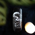 Poe's Raven Glasses Case - Alchemy