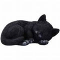 Feline Dream 11.3cm