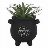 Cauldron Pentagram Plant Pot