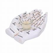 Palmist's Guide Tealight Holder (White) 22.3cm