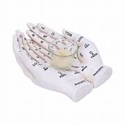 Palmist's Guide Tealight Holder (White) 22.3cm