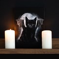 Bat Cat Canvas 19x25cm - Spiral Direct