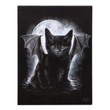 Bat Cat Canvas 19x25cm - Spiral Direct