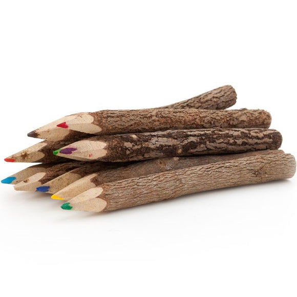 Coloured Twig  Pencils (Set of 10)