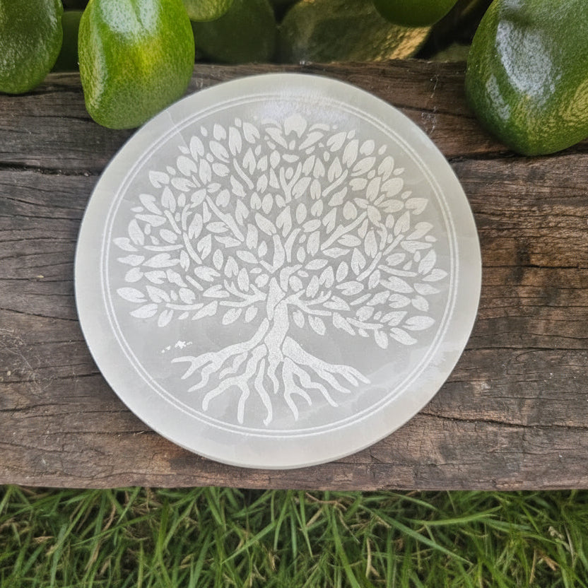 10cm Round Charging Plate - Selenite/Tree of Life