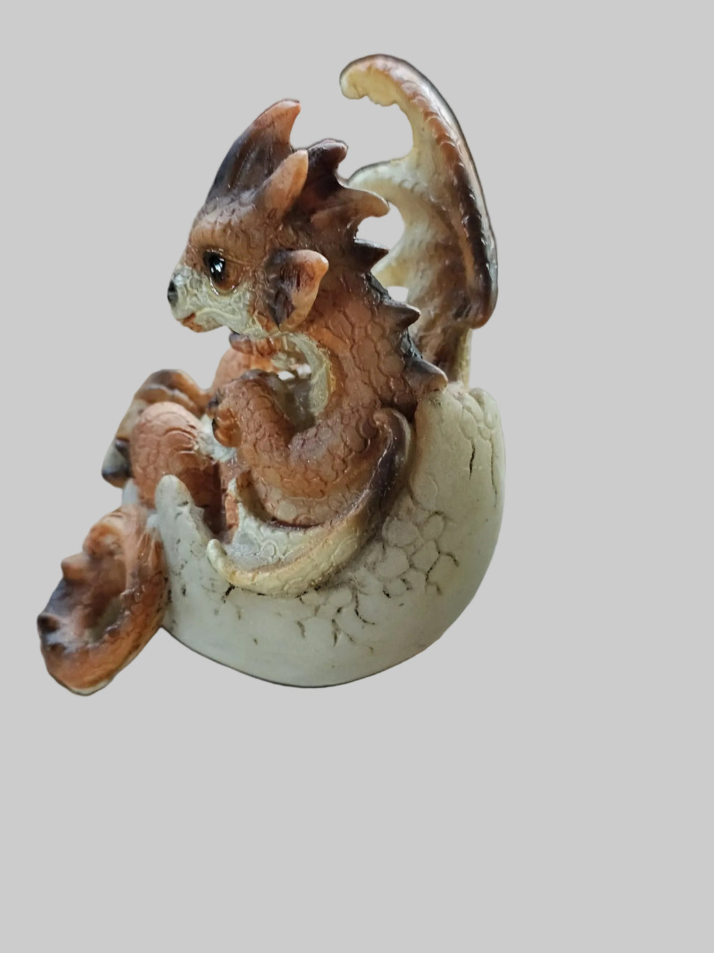 Hatching Dragon Egg - Small A