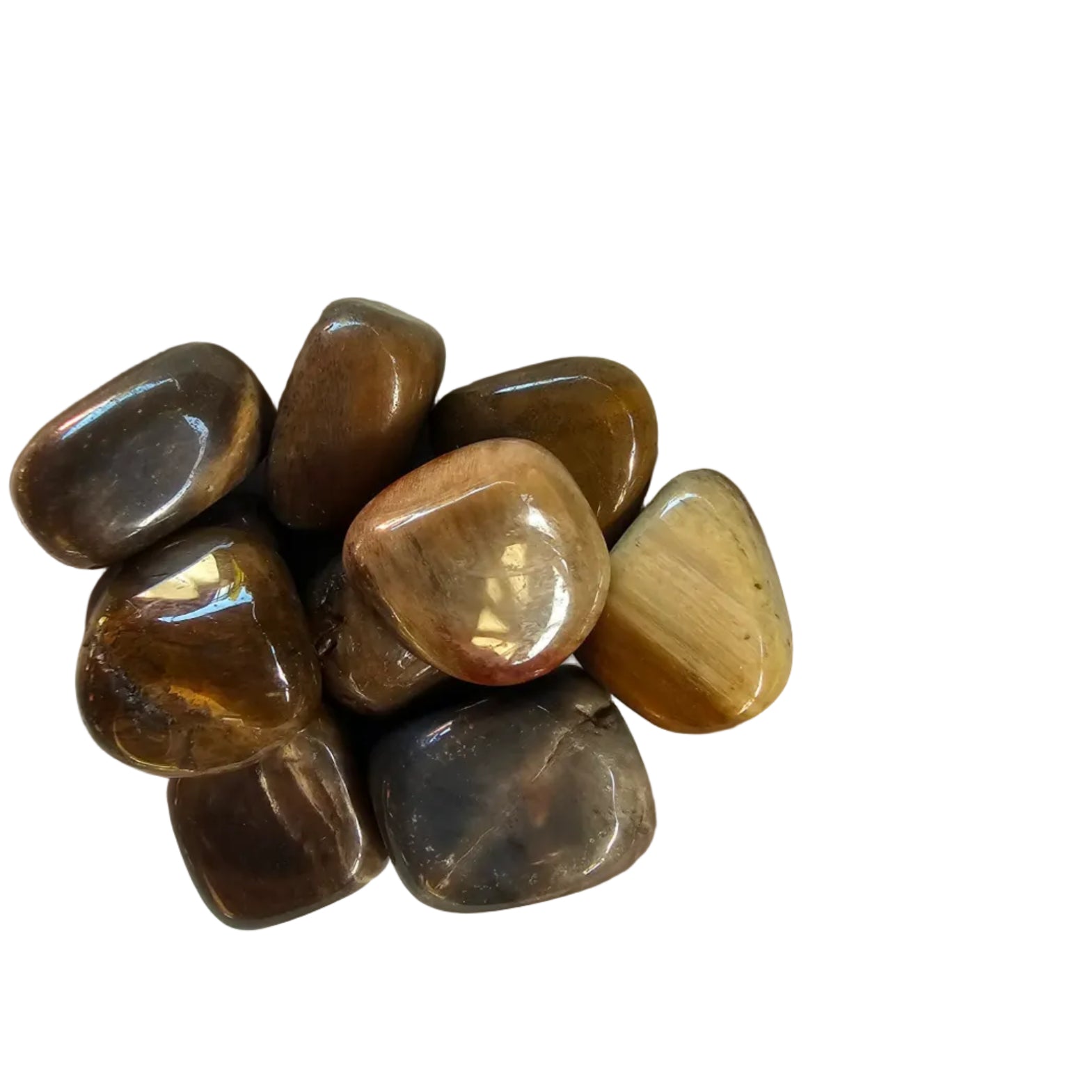 Petrified Wood - Tumbled Stone