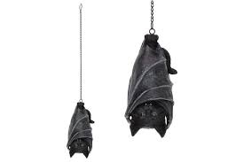 Cat Hanging in Bat Wings