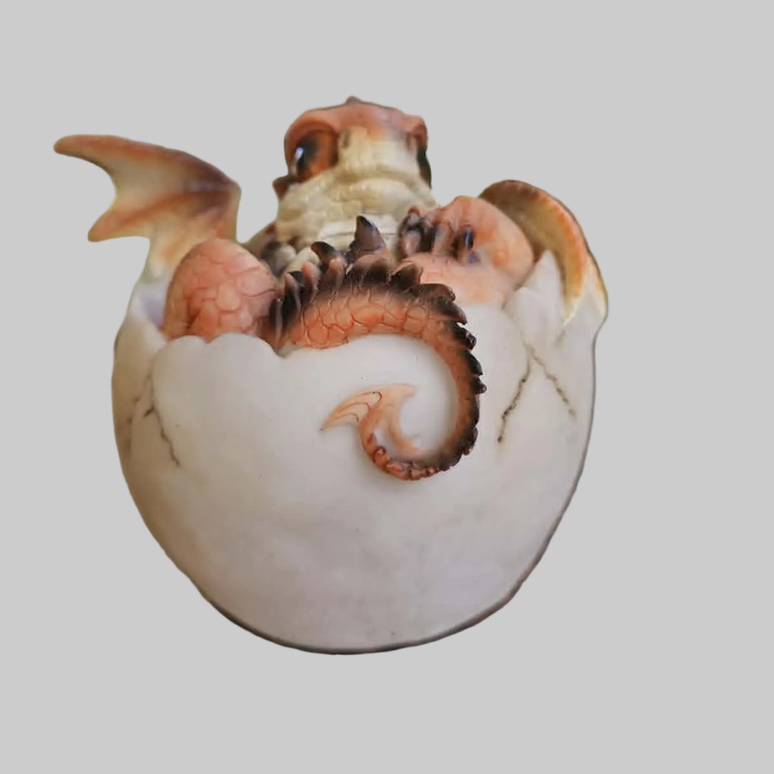 Hatching Dragon Large