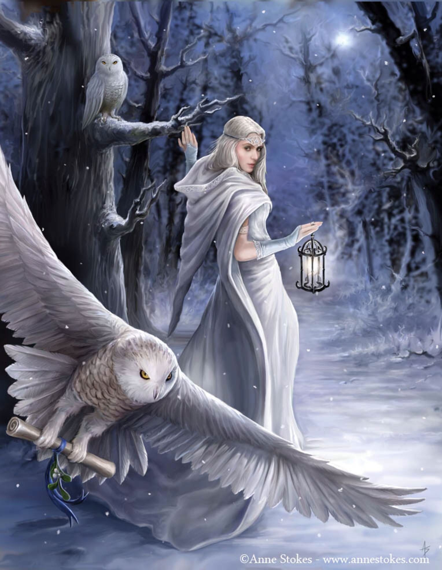 Midnight Messenger Glasses Case - Anne Stokes