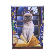 Hocus Pocus Journal 17cm A5 - Lisa Parker