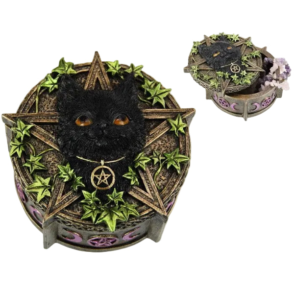 Cat Celtic Potion  Box 12cm