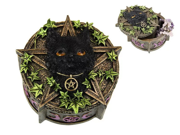 Black Cat Celtic Box 12cm