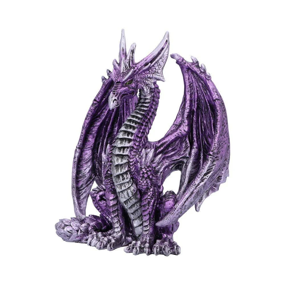 Porfirio Purple Dragon 17.7cm