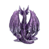 Porfirio Purple Dragon 17.7cm