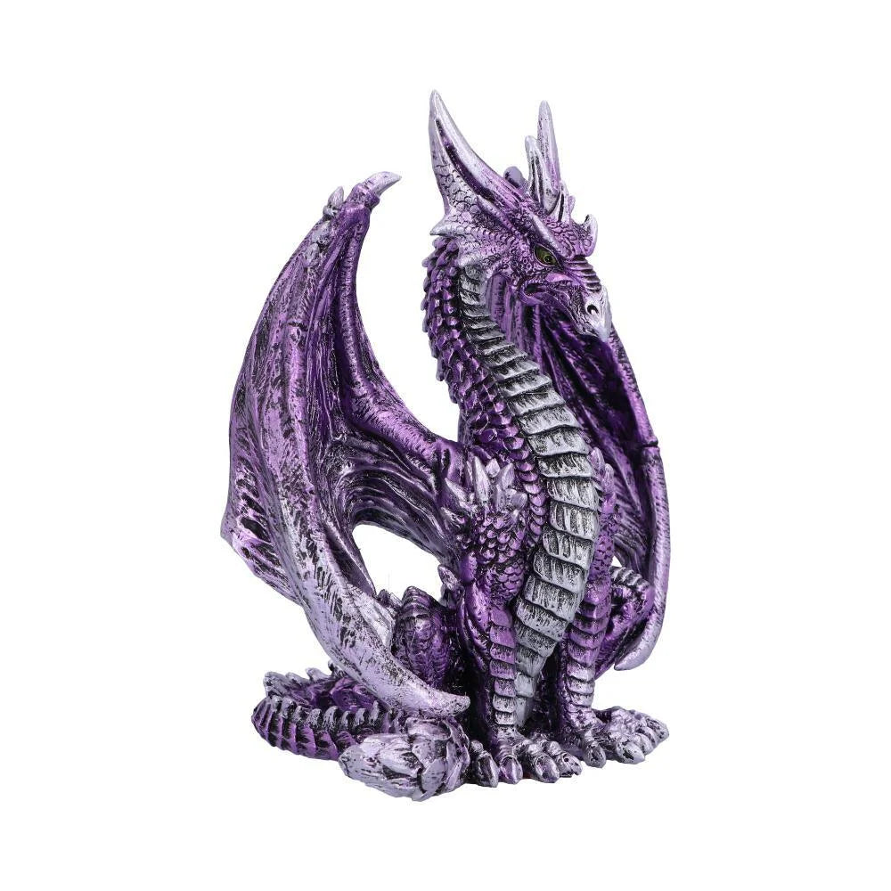 Porfirio Purple Dragon 17.7cm