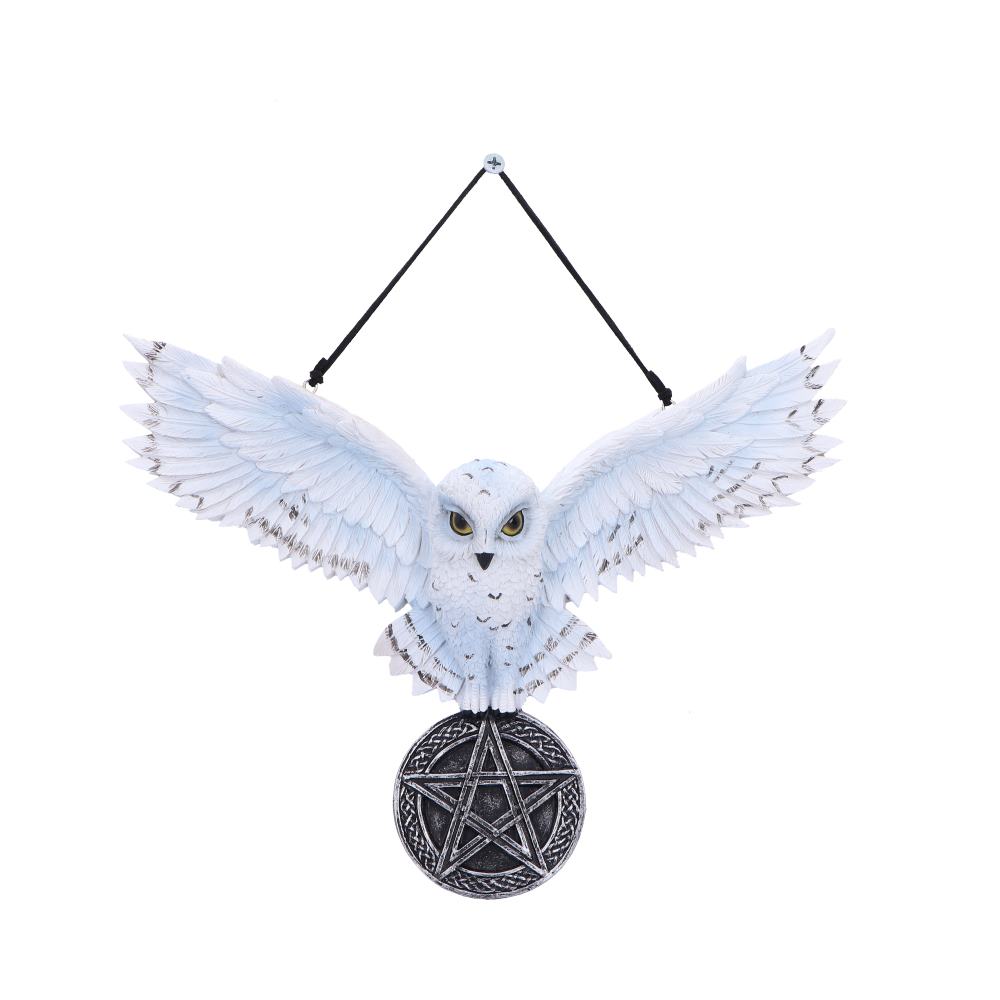 Owl Tailsman 20.5cm