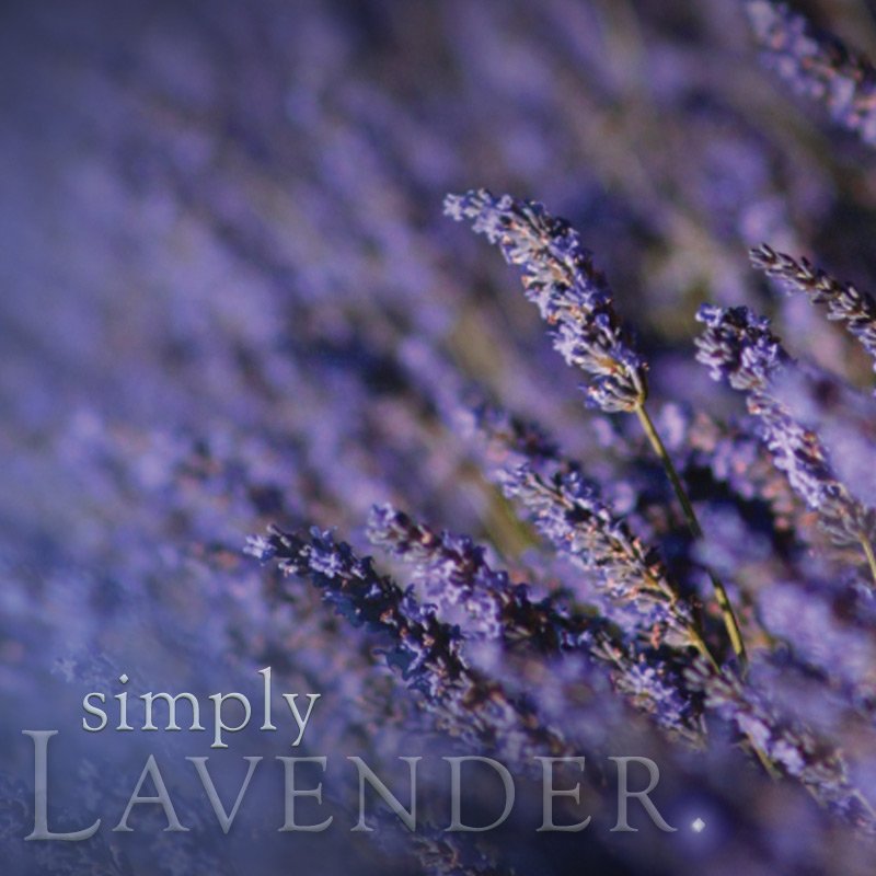 Simply Soy Jar Candle - Lavender