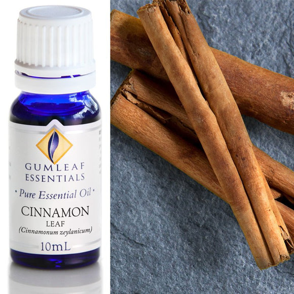 Gumleaf Pure Essential Oil - Cinnamon Leaf