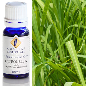 Gumleaf Pure Essential Oil - Citronella