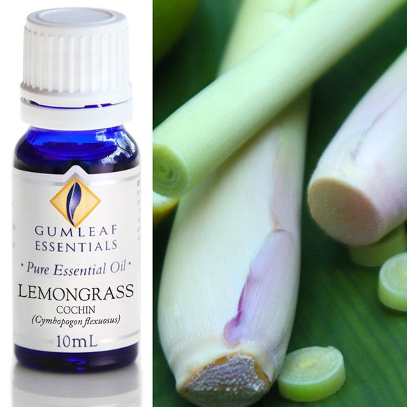 Gumleaf Pure Essential Oil - Lemongrass