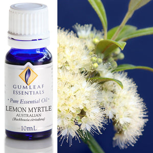 Gumleaf Pure Essential Oil - Lemon Myrtle