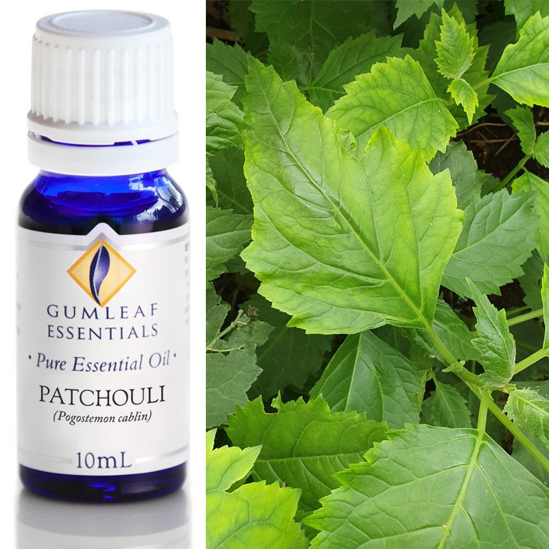 Gumleaf Pure Essential Oil - Patchouli