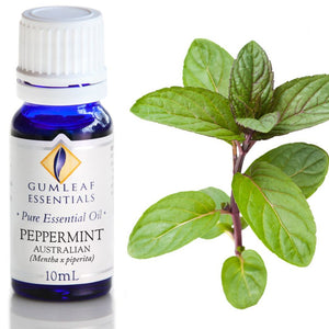 Gumleaf Pure Essential Oil - Peppermint