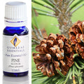 Gumleaf Pure Essential Oil - Pine Scotch