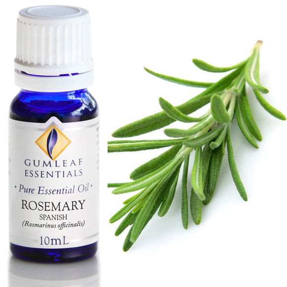 Gumleaf Pure Essential Oil - Rosemary