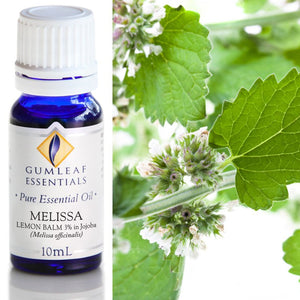 Gumleaf Pure Essential Oil - Melissa