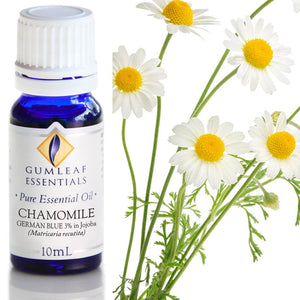 Gumleaf Pure Essential Oil - German Blue Chamomile